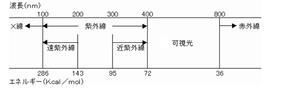 uv elas jp faq